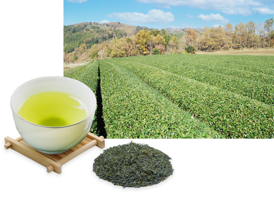 莊康園茶畑とお茶のイメージ